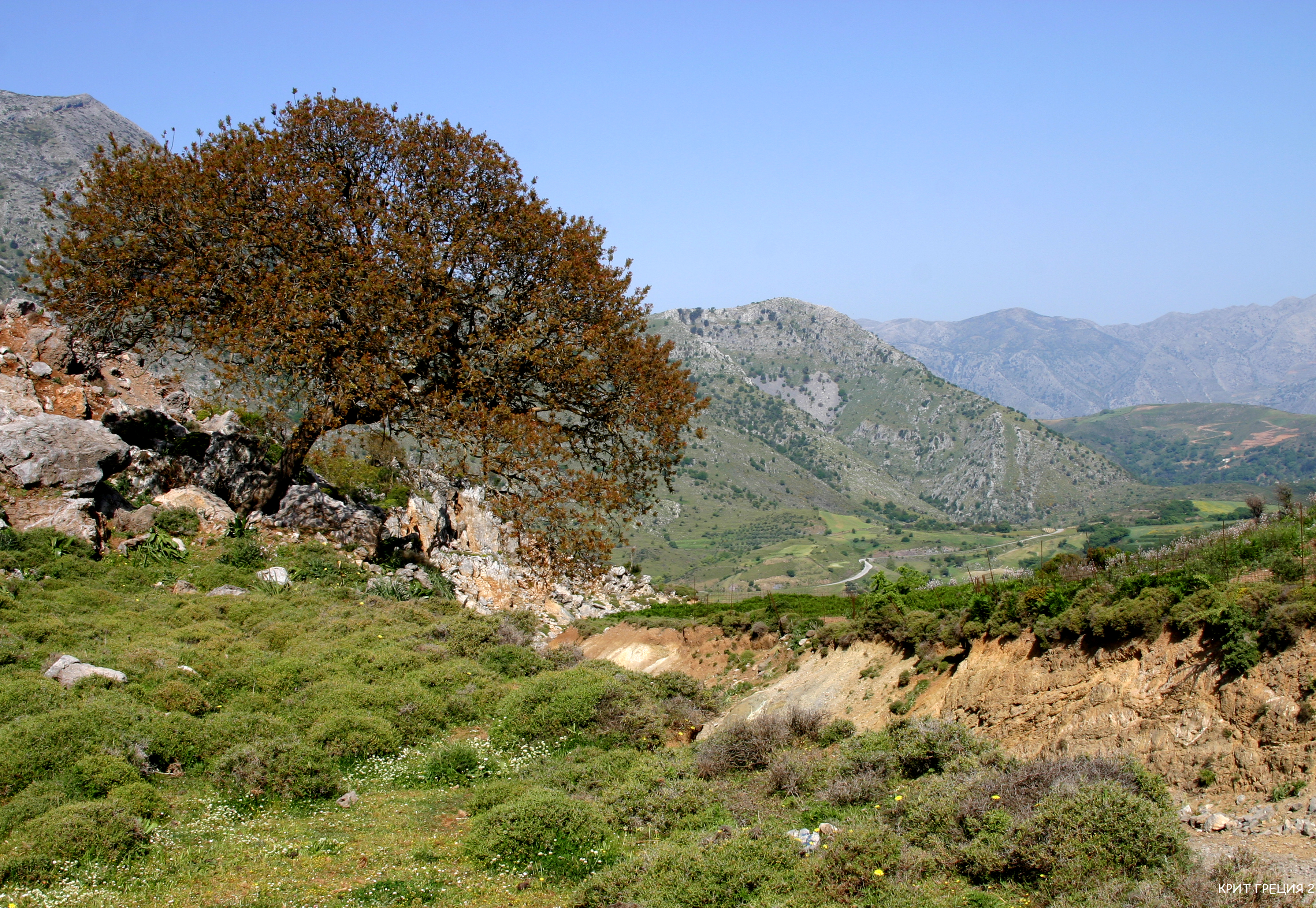 IMG_8288.jpg