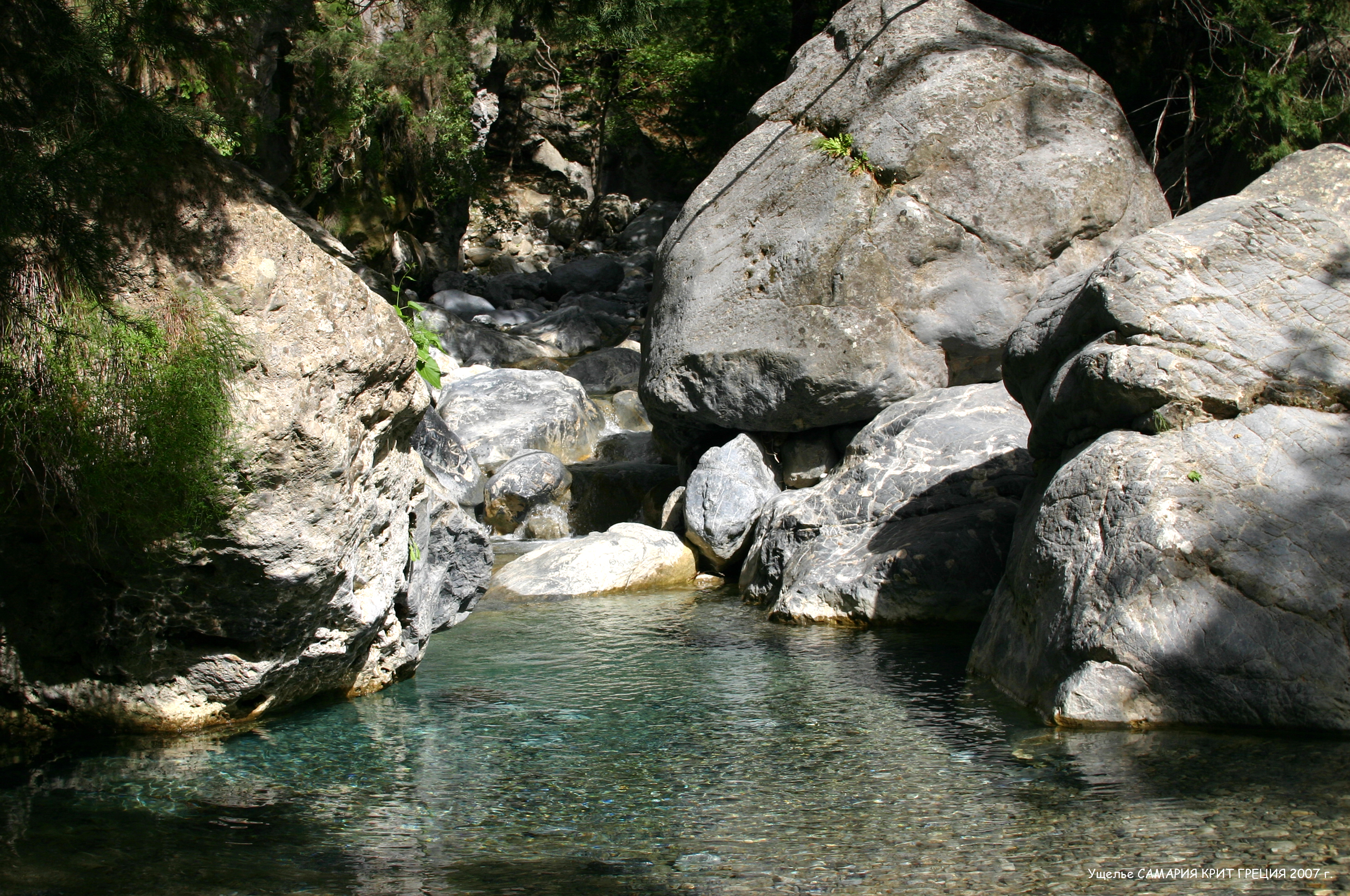 IMG_8403.jpg