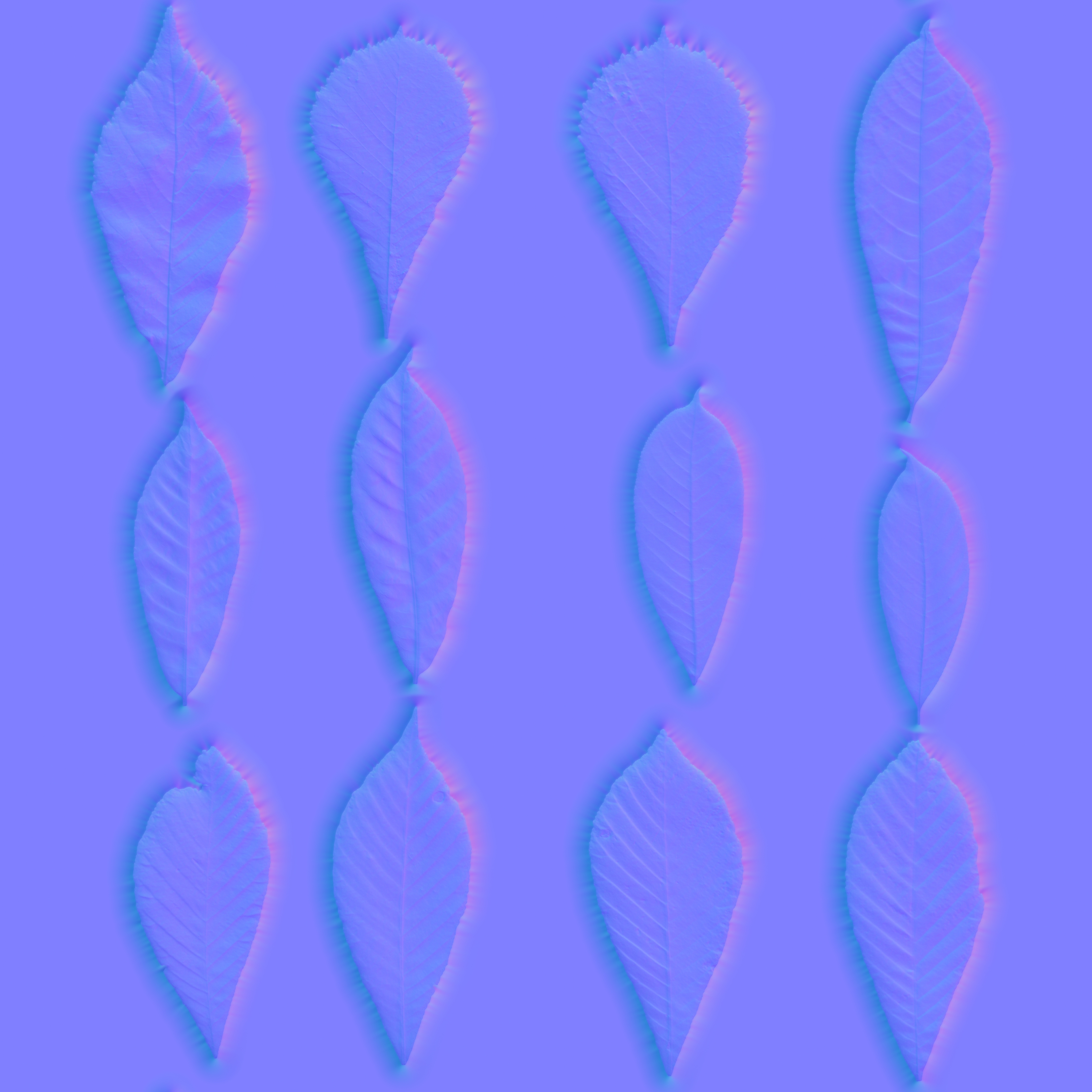 MT_PM_V089_Maps/MT_PM_V89_Aesculus_hippocastanum_01_Leaf_01_normal.jpg
