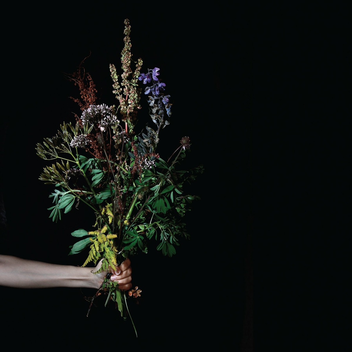 folder.jpg
