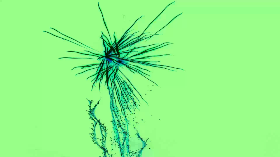 tools/SDI/themes/happy_new_year/main.webp