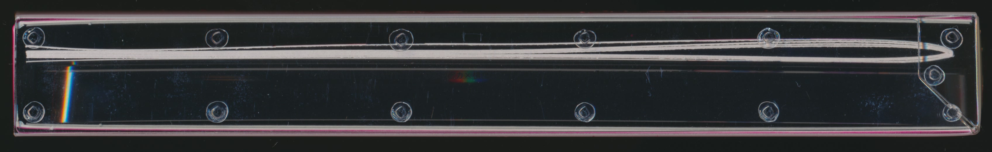 Scans/01/05.jpg