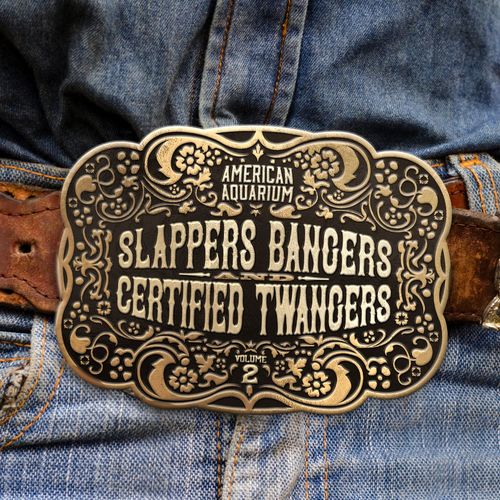 American Aquarium - Slappers, Bangers & Certified Twangers, Vol. 2/cover (1).jpg