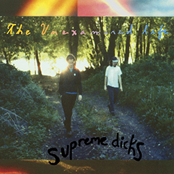 1993 - The Unexamined Life/Supreme Dicks - The Unexamined Life.jpg