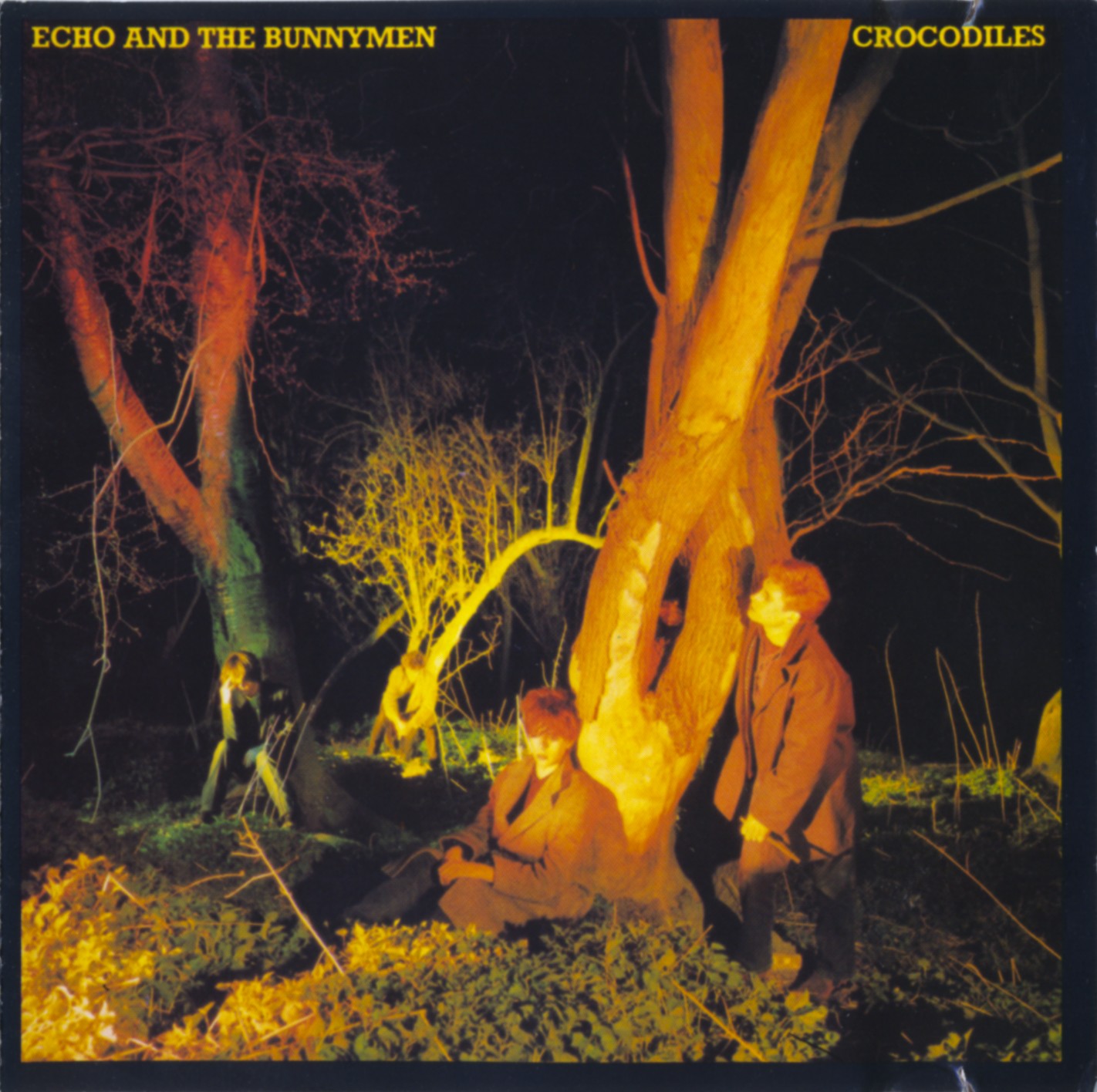 Альбомы/1980. Echo & The Bunnymen - Crocodiles {2 издания}/1980. Echo & The Bunnymen - Crocodiles {1988, EU, Korova 2292-42316-2}/Covers/front.jpg
