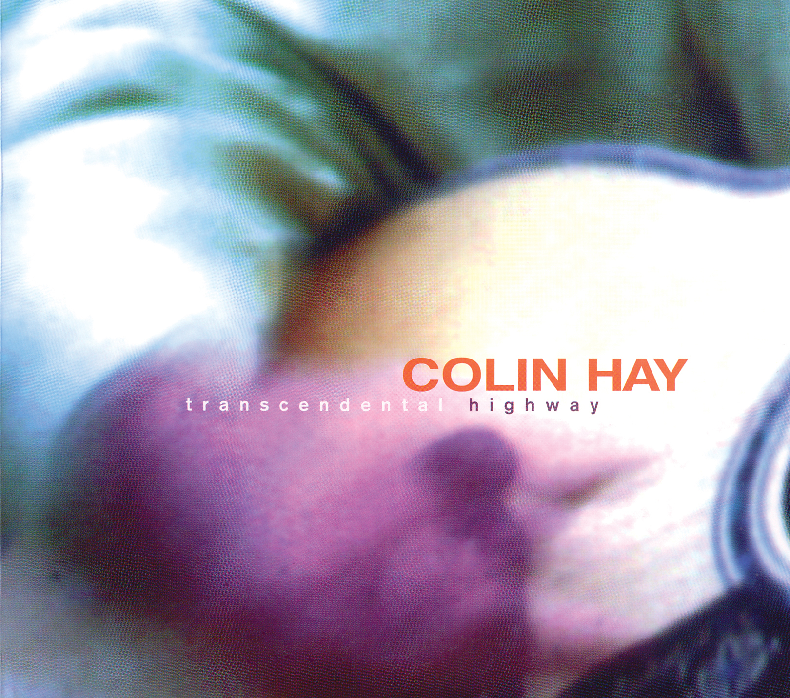 Colin Hay - Transcendental Highway front.jpg