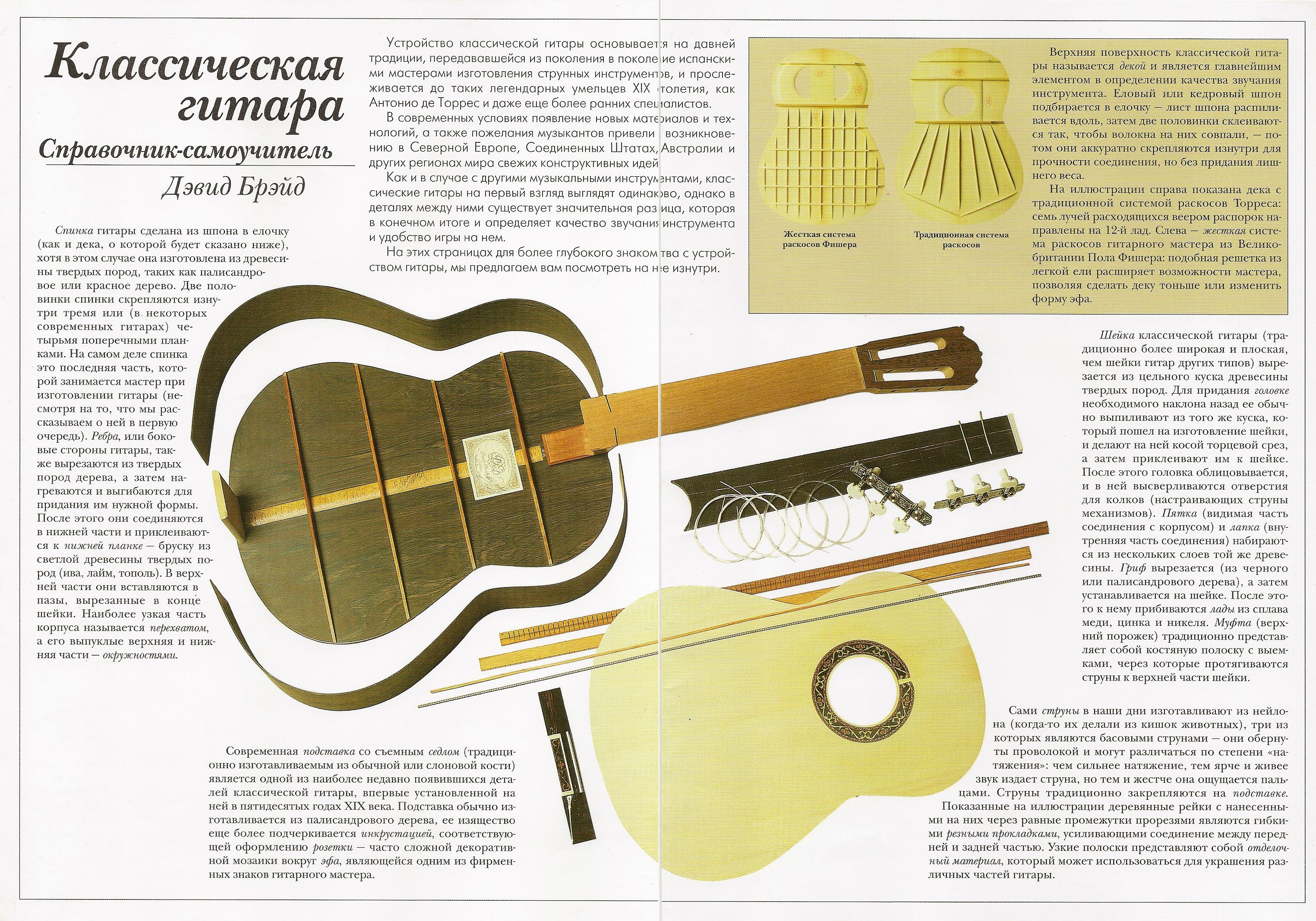 Карта грифа (back).jpg