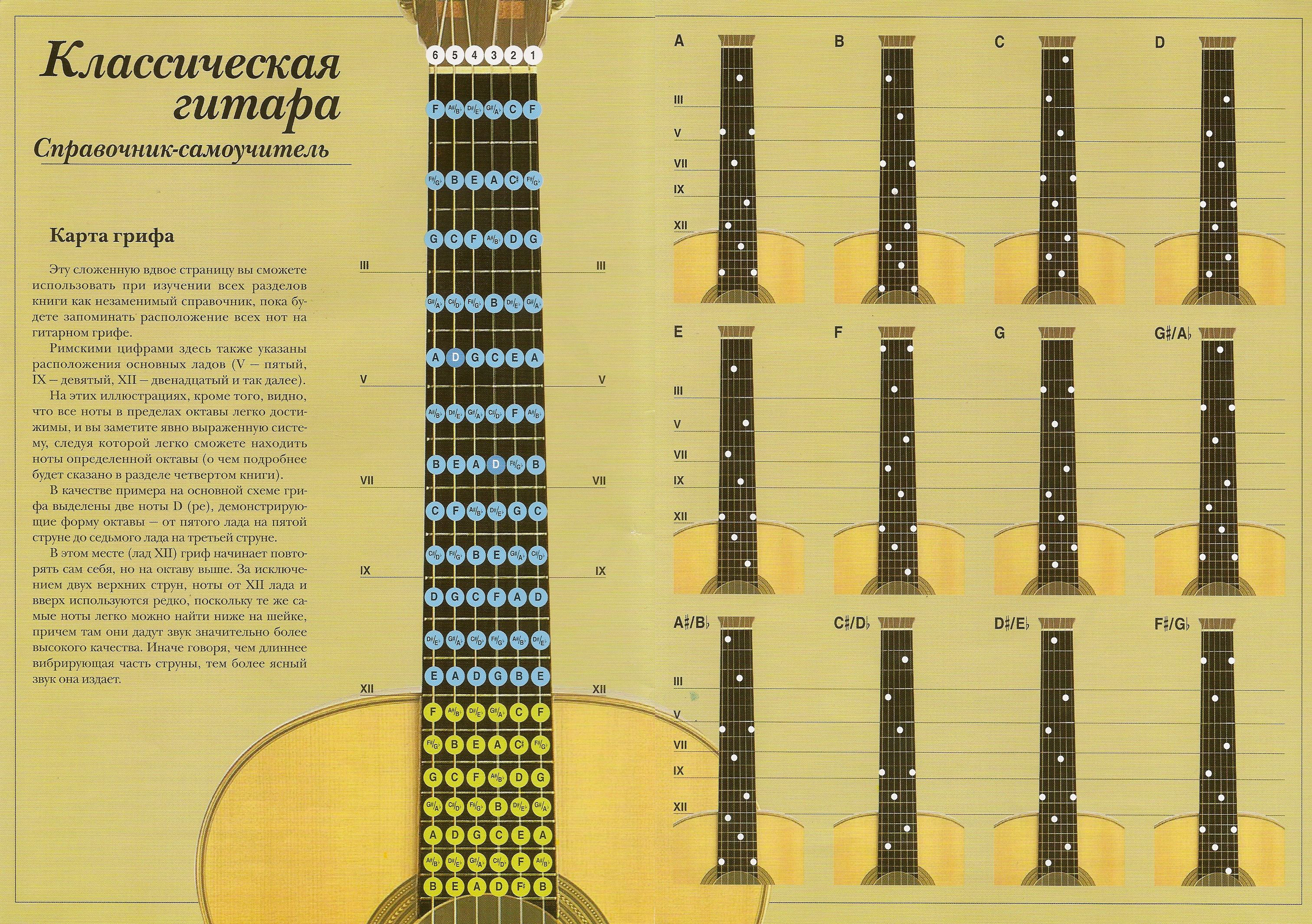 Карта грифа (front).jpg