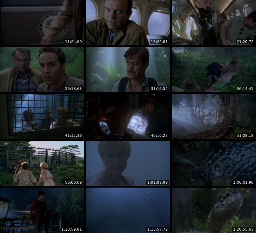 Jurassic Park III 2001 BluRay 1080p DDP 5 1 x264-hallowed.jpg