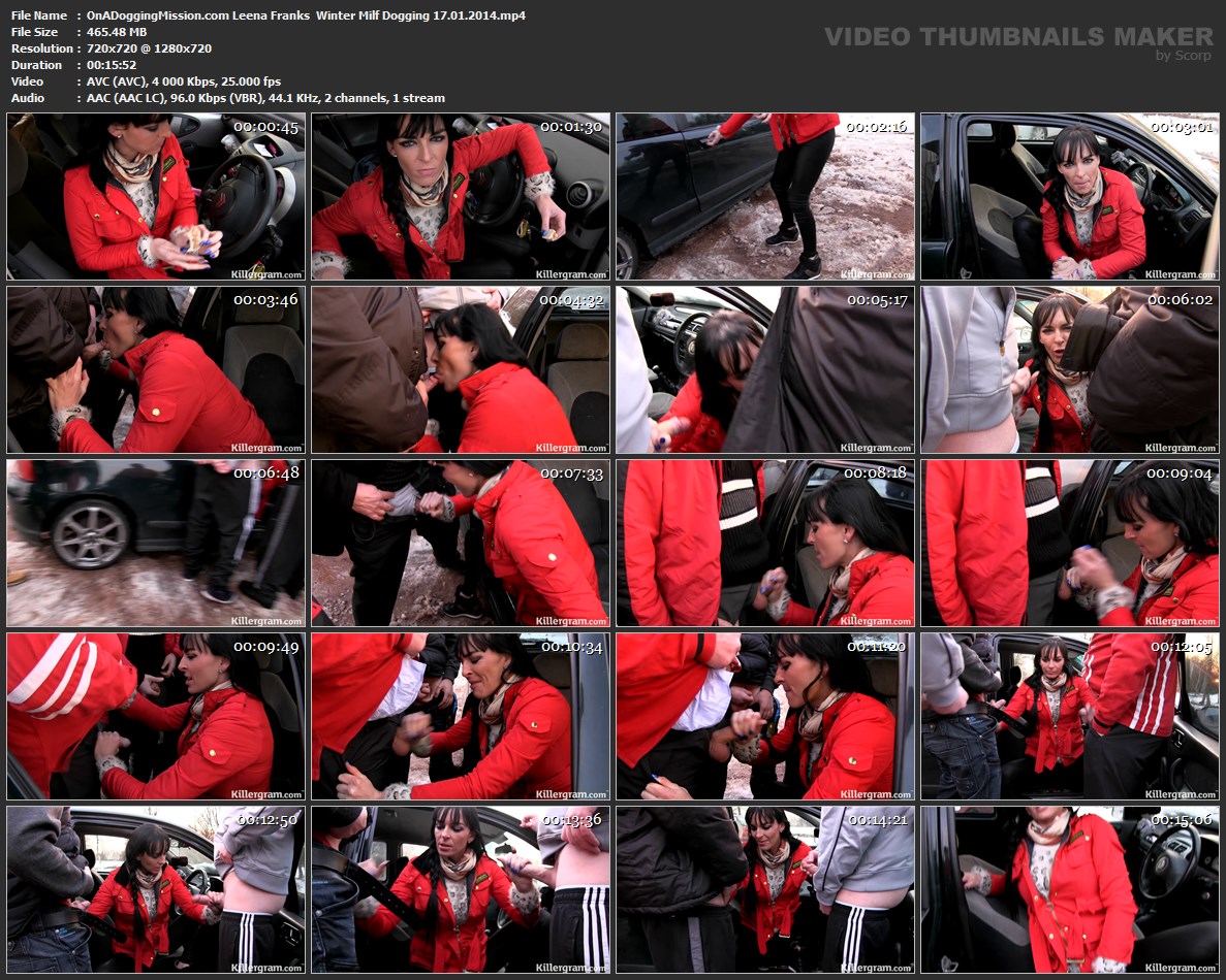 скрины/OnADoggingMission.com Leena Franks  Winter Milf Dogging 17.01.2014.mp4.jpg