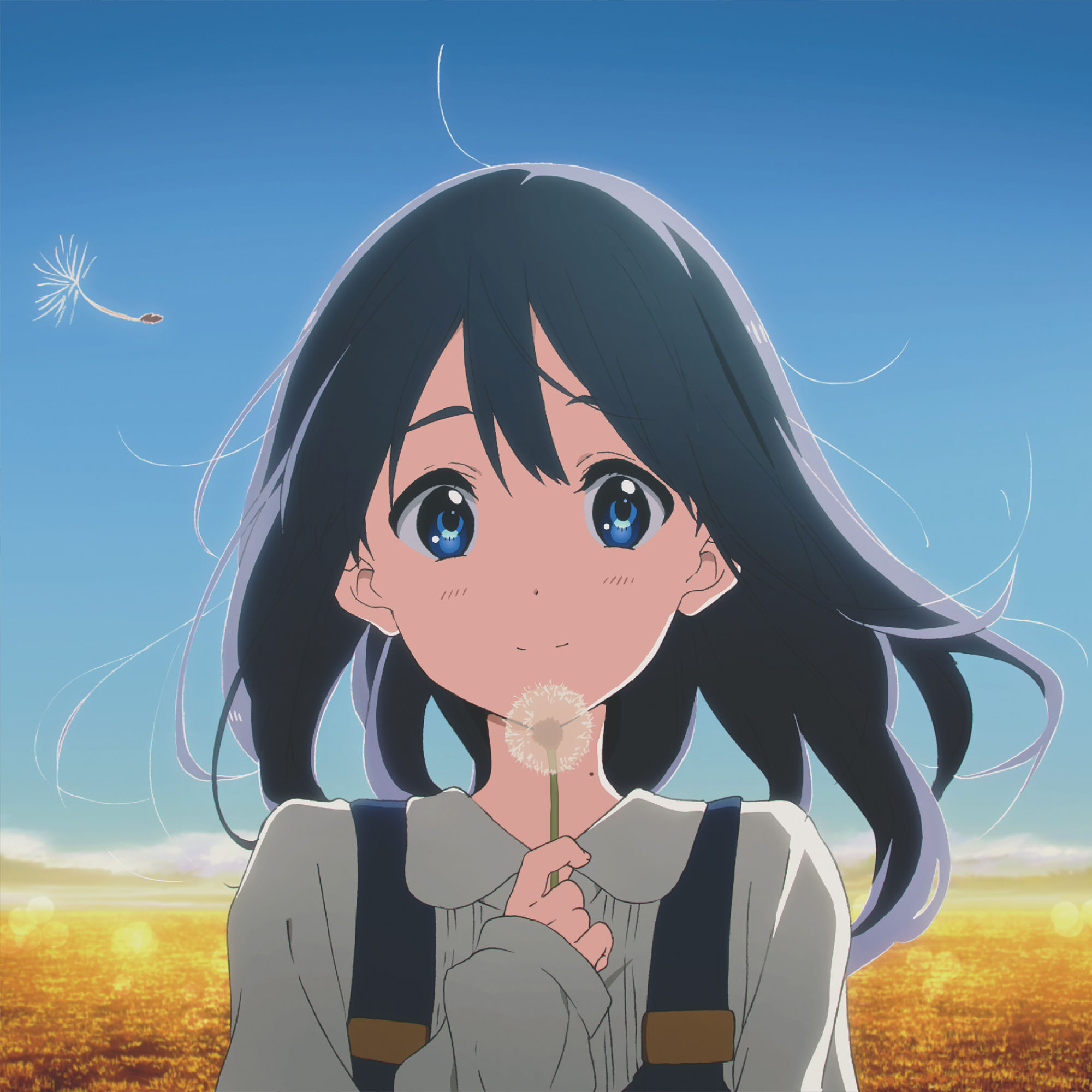 Cover.jpg