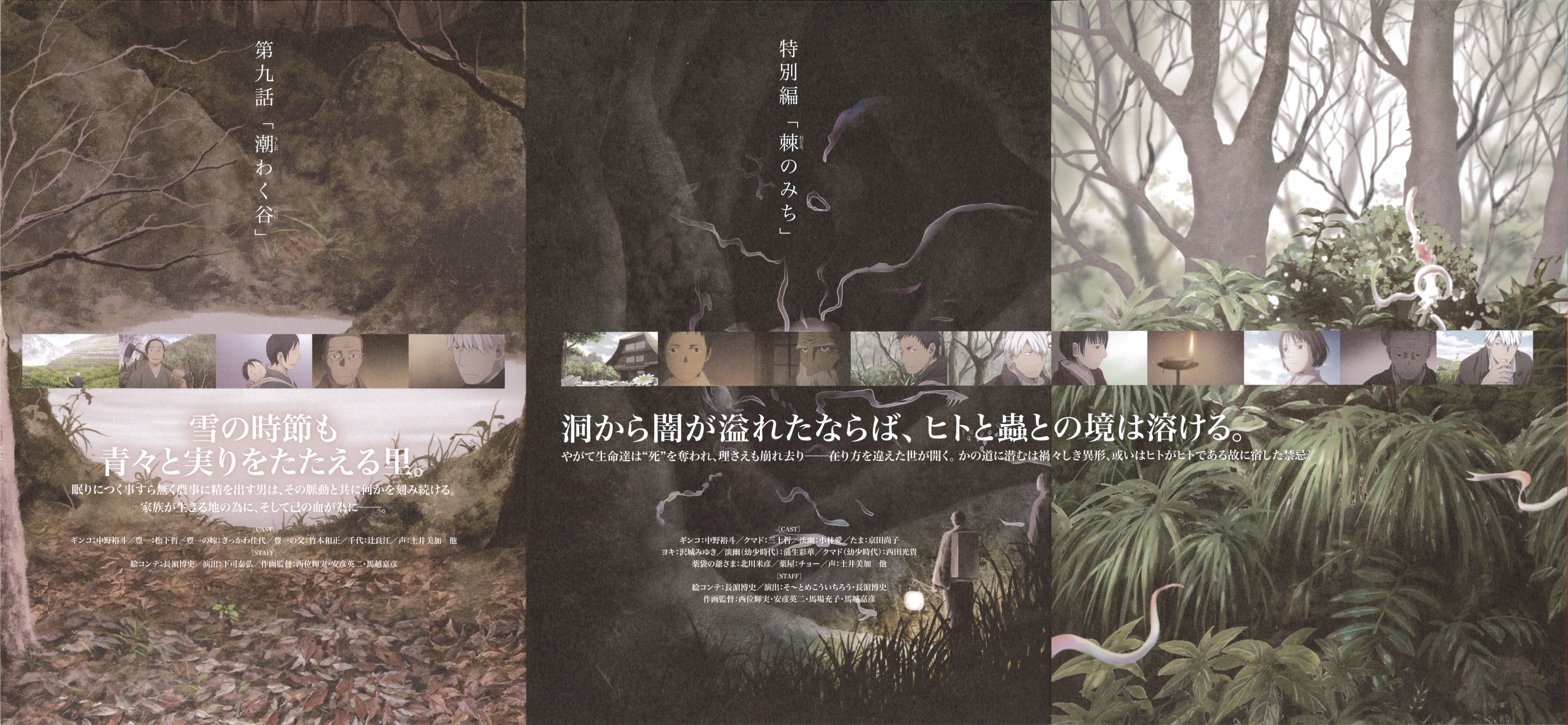 Mushishi Zoku Shou Bonus CDs/Scans/Bonus Disc 3/Booklet2.jpg