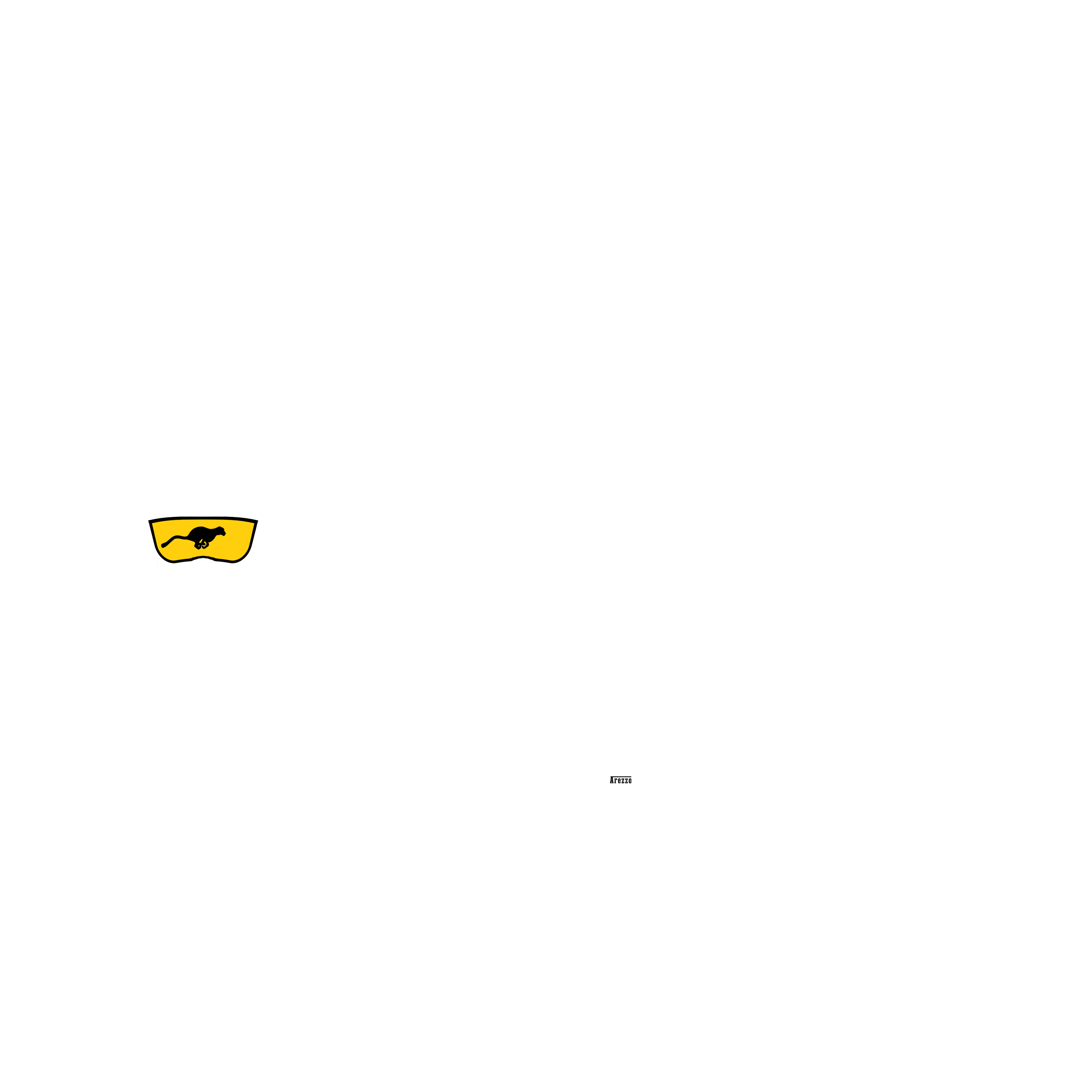 Car Mechanic Simulator 2021/Car Mechanic Simulator 2021_Data/StreamingAssets/Cars/ArezzoCortona/Liveries/Cortona_Livery2_tuning.png