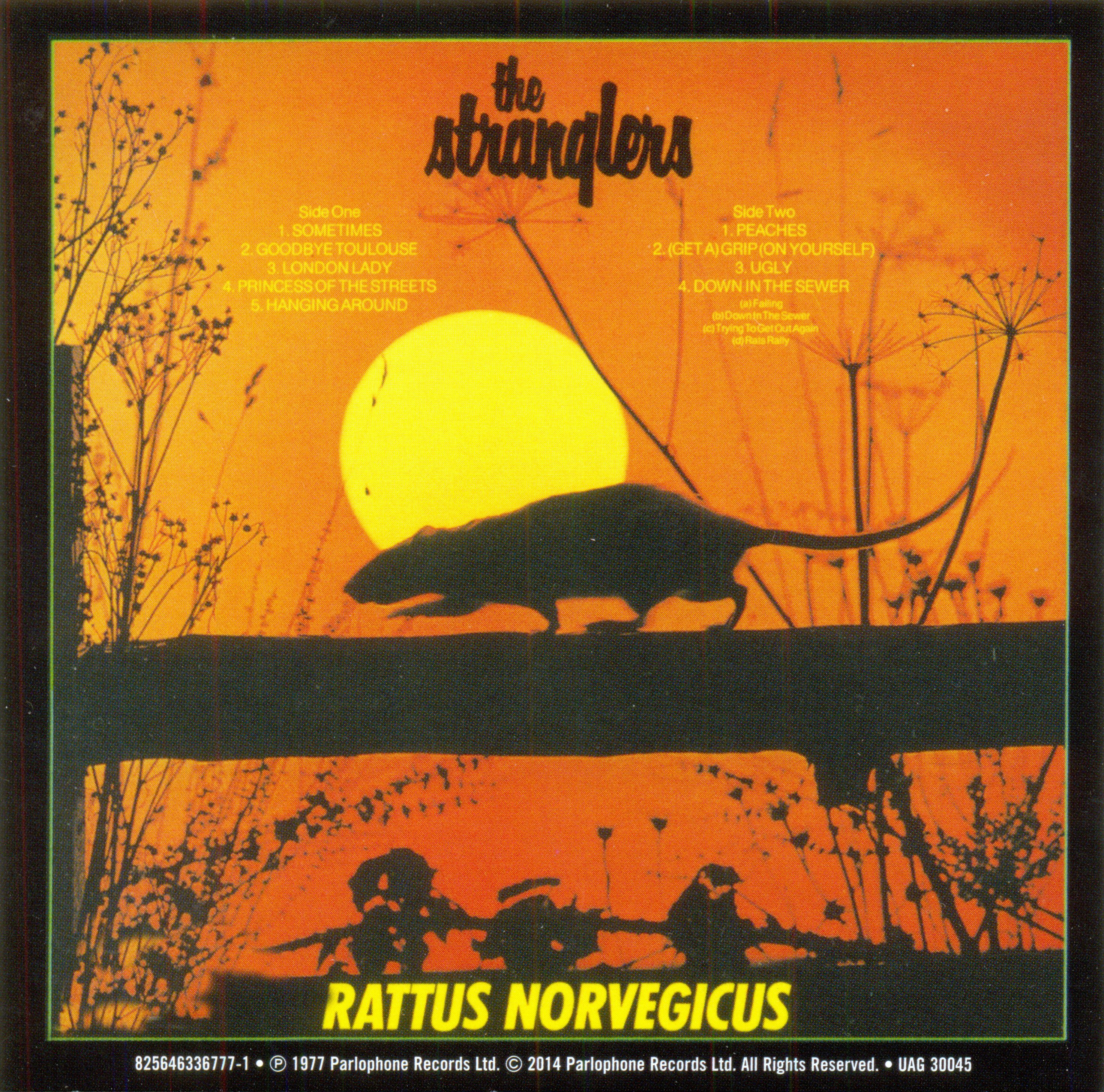 1977 - Rattus Norvegicus/covers/Rattus Norvegicus Back.jpg
