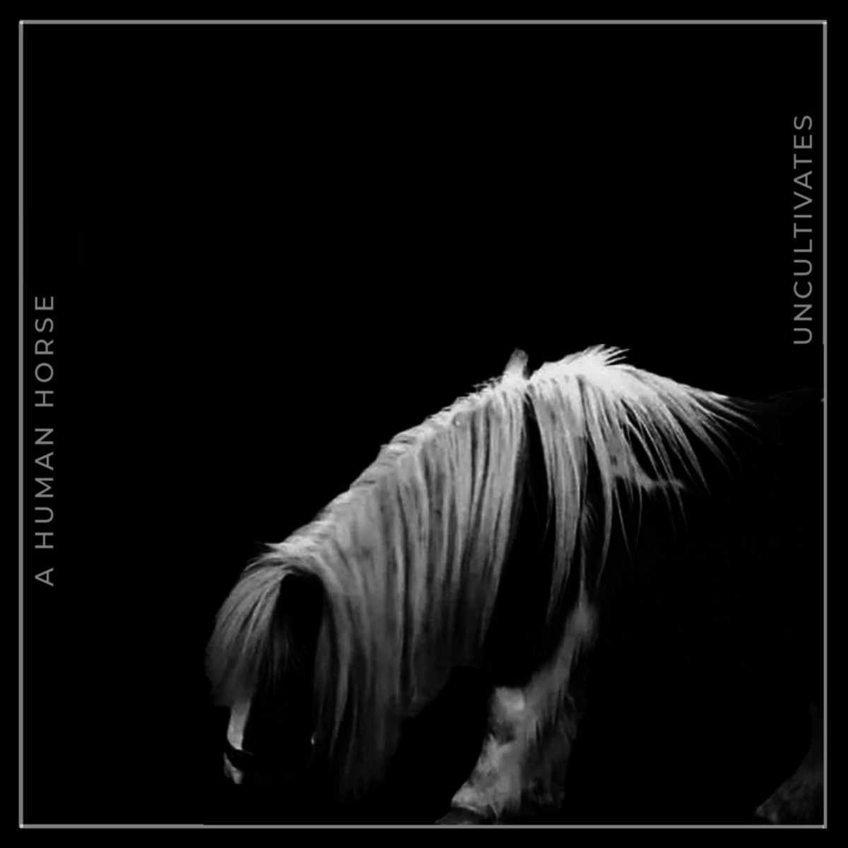 2021 - A HUMAN HORSE/cover.jpg