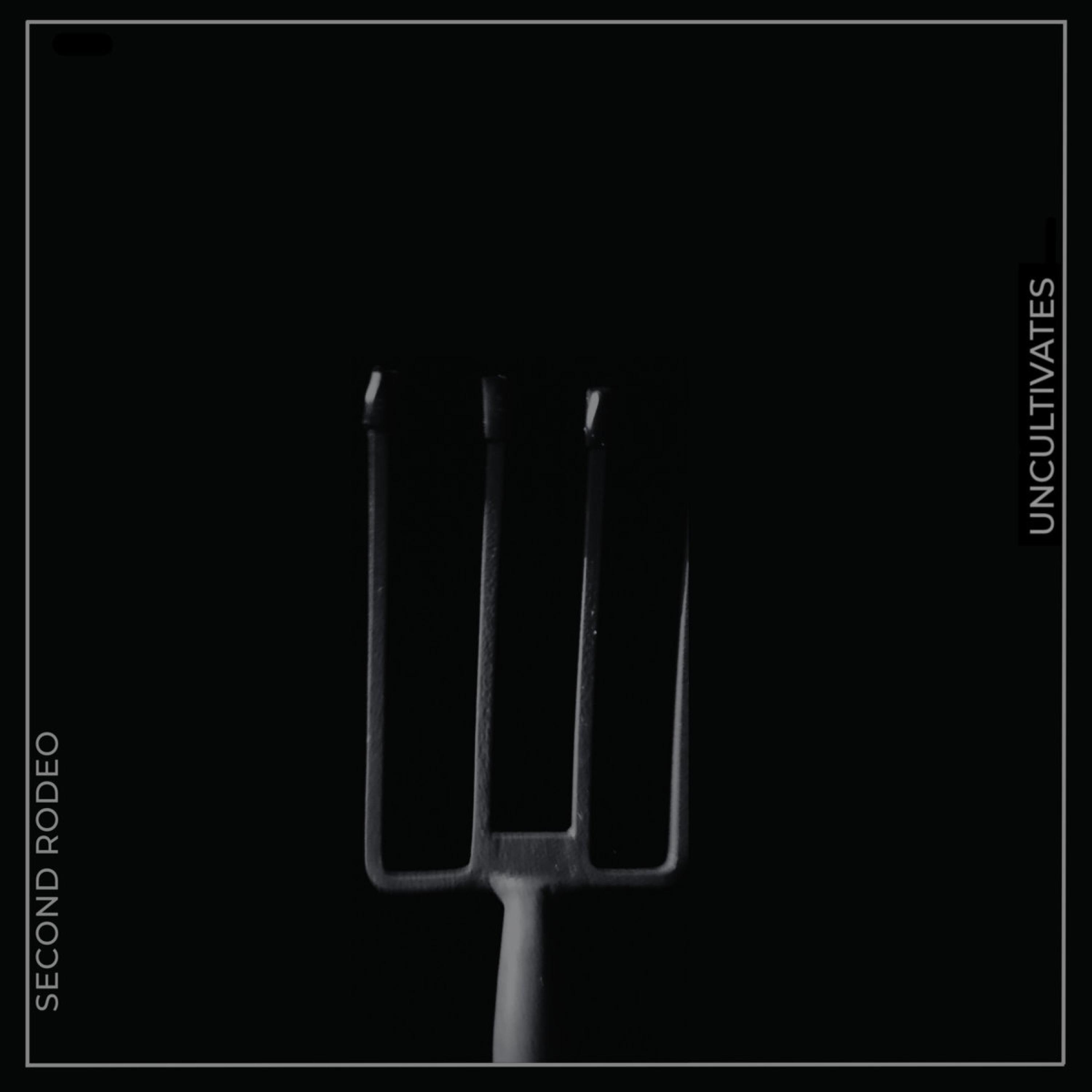 2024 - SECOND RODEO/cover.jpg