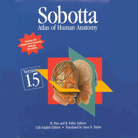 SOBOTTA.JPG