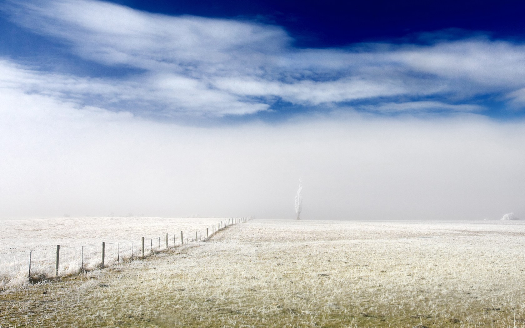 A frosty day in Central Otago, New Zealand.jpg