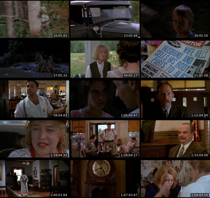 Fried Green Tomatoes 1991 1080p PCOK WEB-DL DDP 5 1 H 264-PiRaTeS.jpg