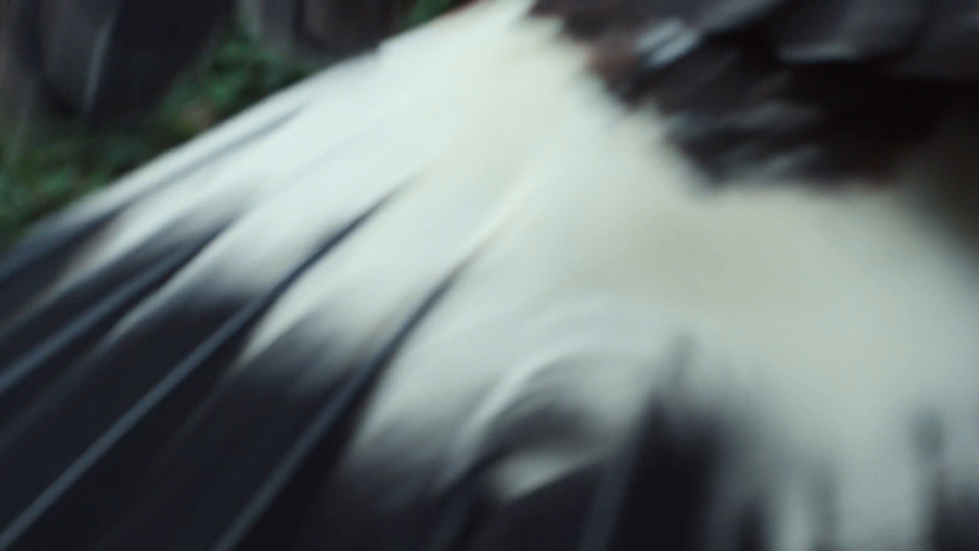 Screens/screen0003.png