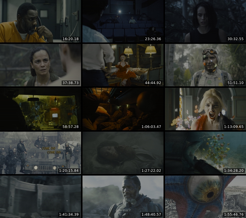 The Suicide Squad 2021 UHD BluRay 1080p DD Atmos 5 1 DoVi HDR10  x265-SM737.jpg