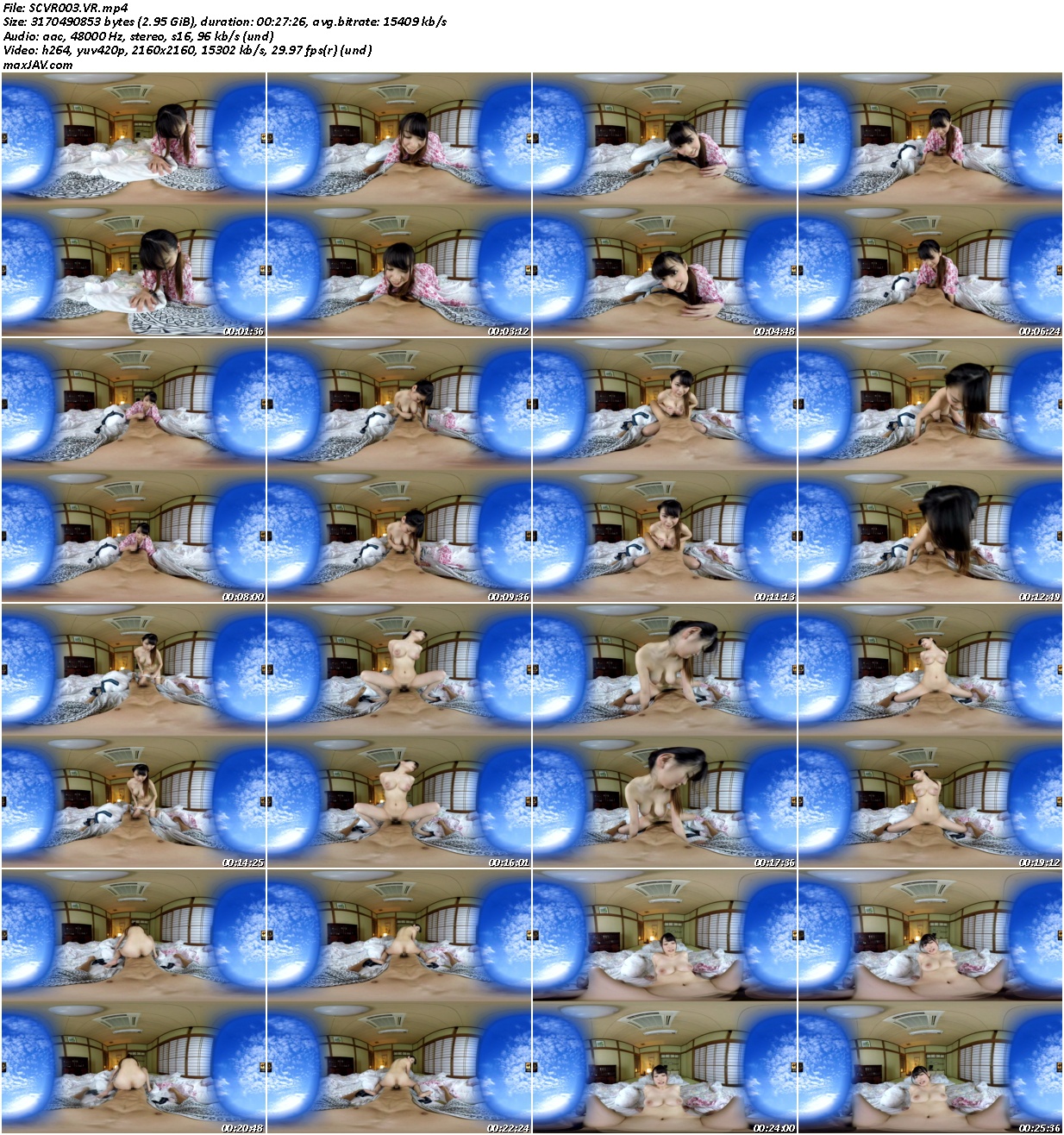 SCVR003.jpg
