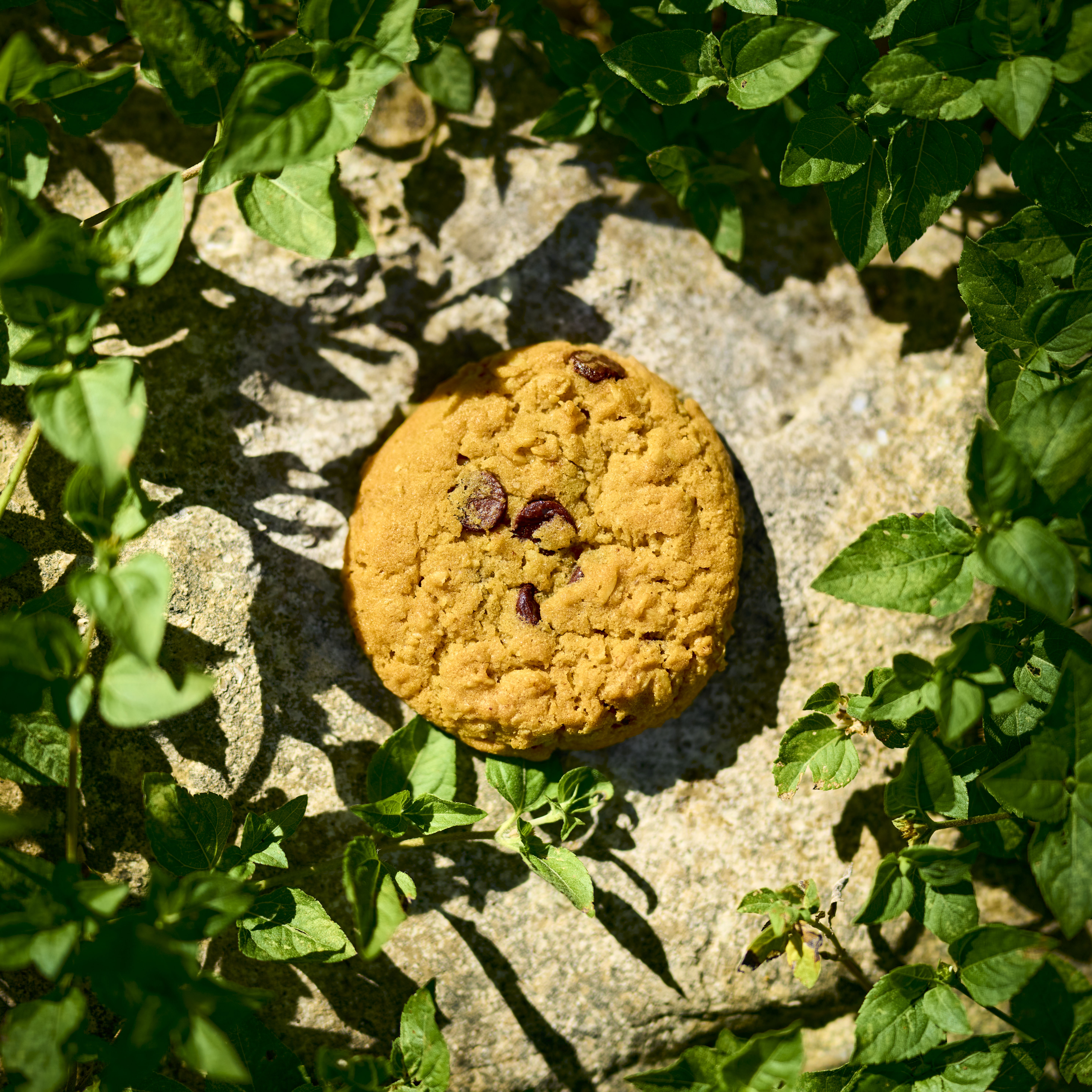 C418 - Cookie Clicker/cover.jpg