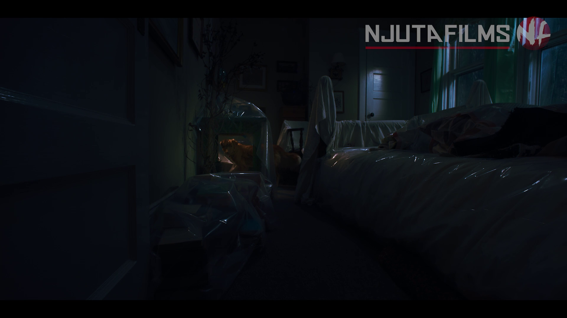Screens/vlcsnap-00002.png