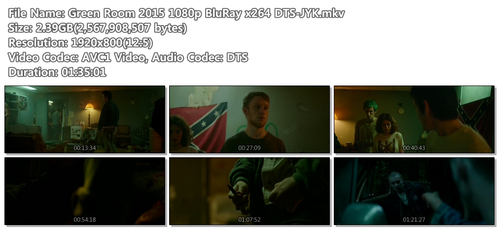 Green Room 2015 1080p BluRay x264 DTS-JYK.mkv.jpg