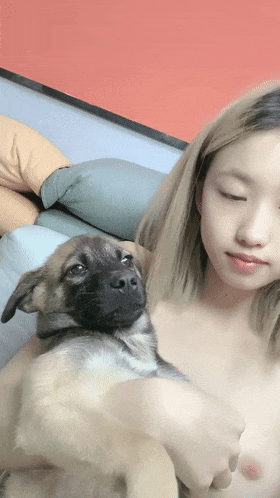 2 (3).gif