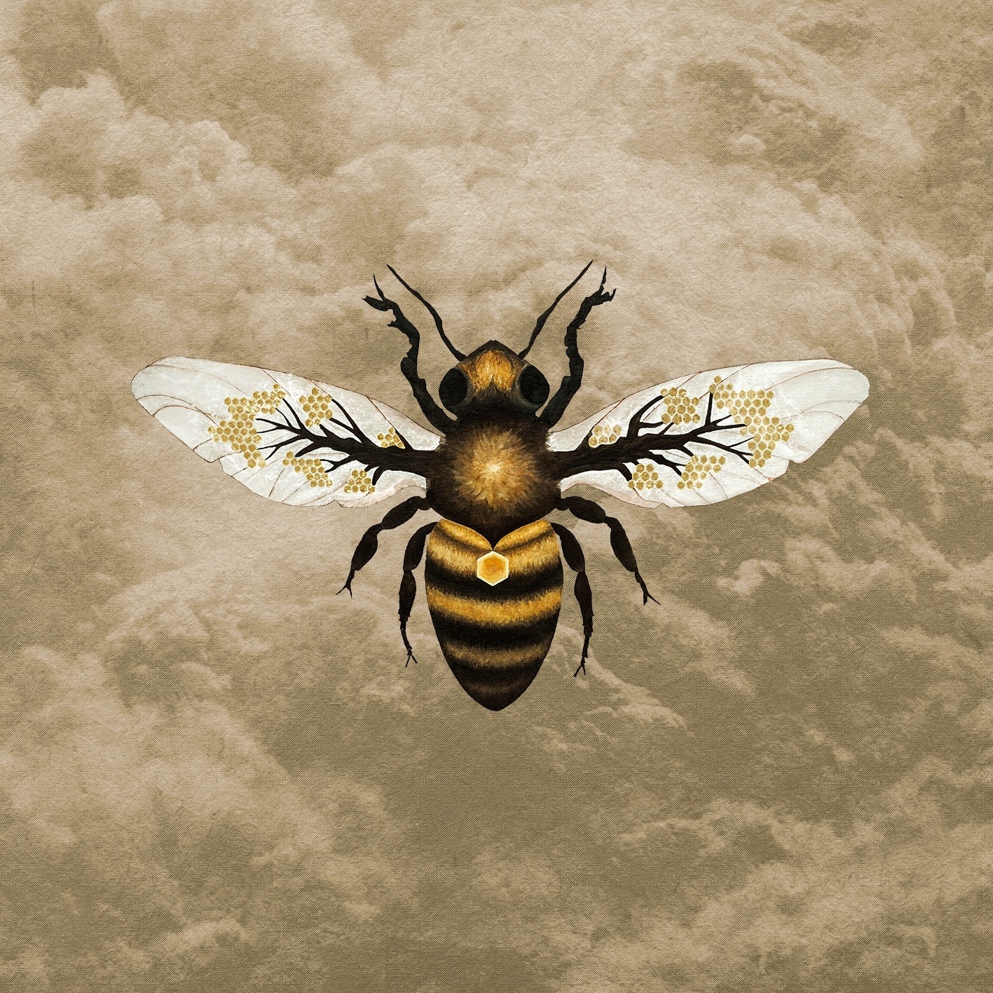 cover 01.jpg