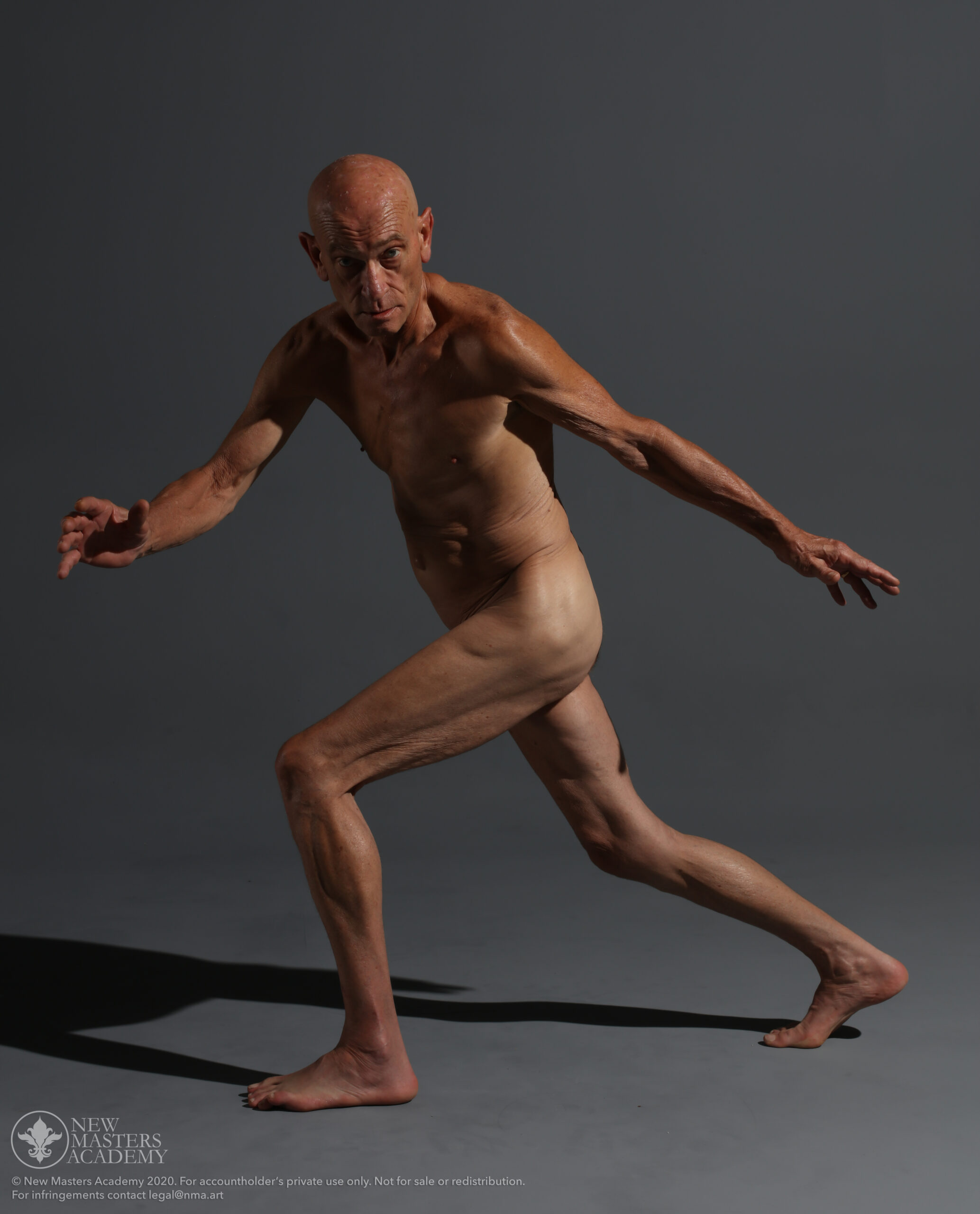 Week 1 - Intro to the Human Machine/References/AASH_-6-scaled.jpg