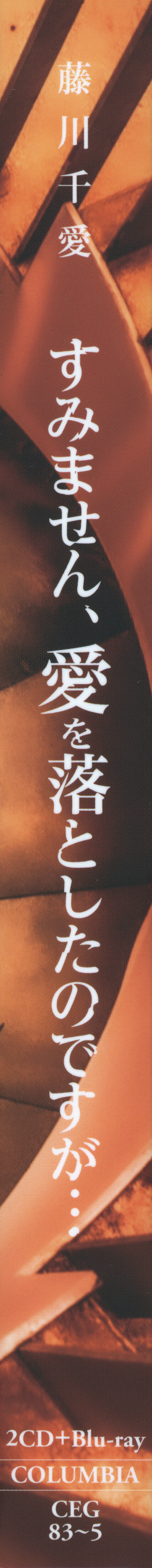 CDs/[240918] ｢すみません、愛を落としたのですが···｣／藤川千愛 (flac+webp)/Scans/04.webp