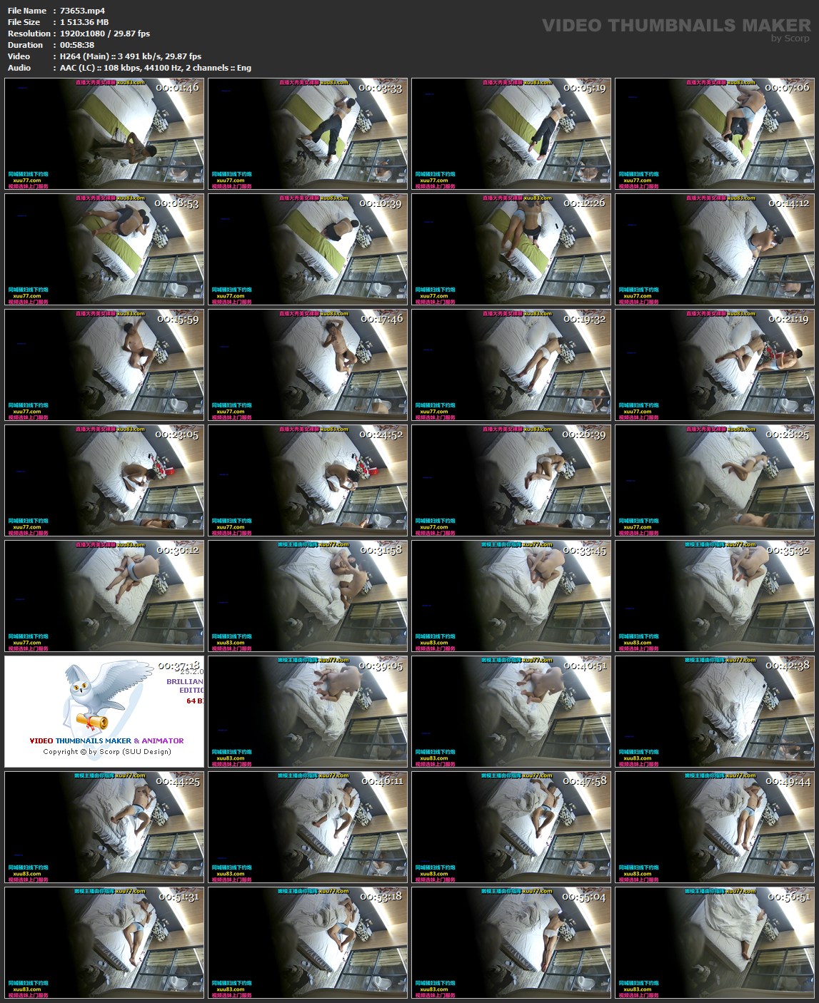 screens/73653.mp4.jpg