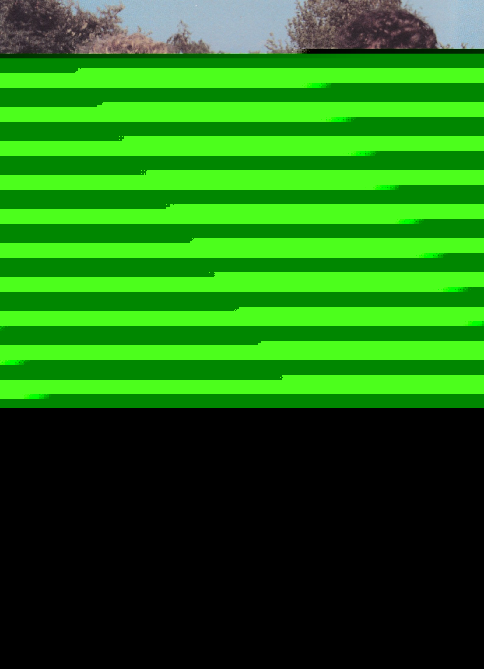 04.jpg