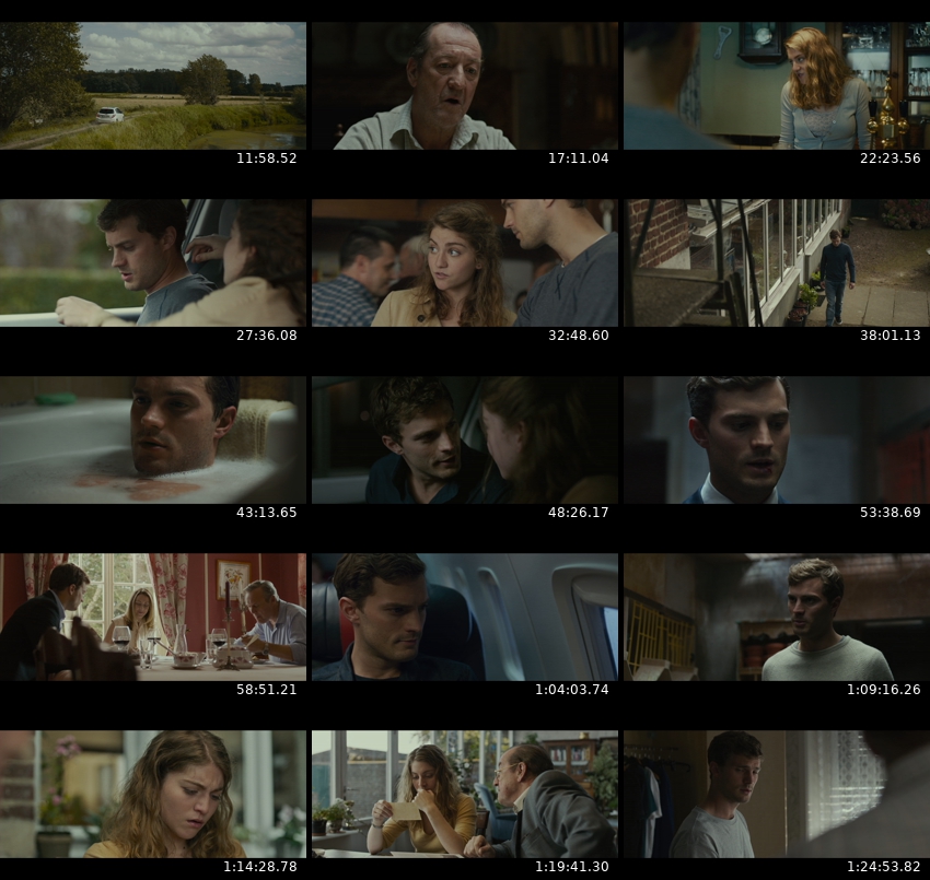 Flying Home 2014 1080p BluRay x264-OFT.jpg