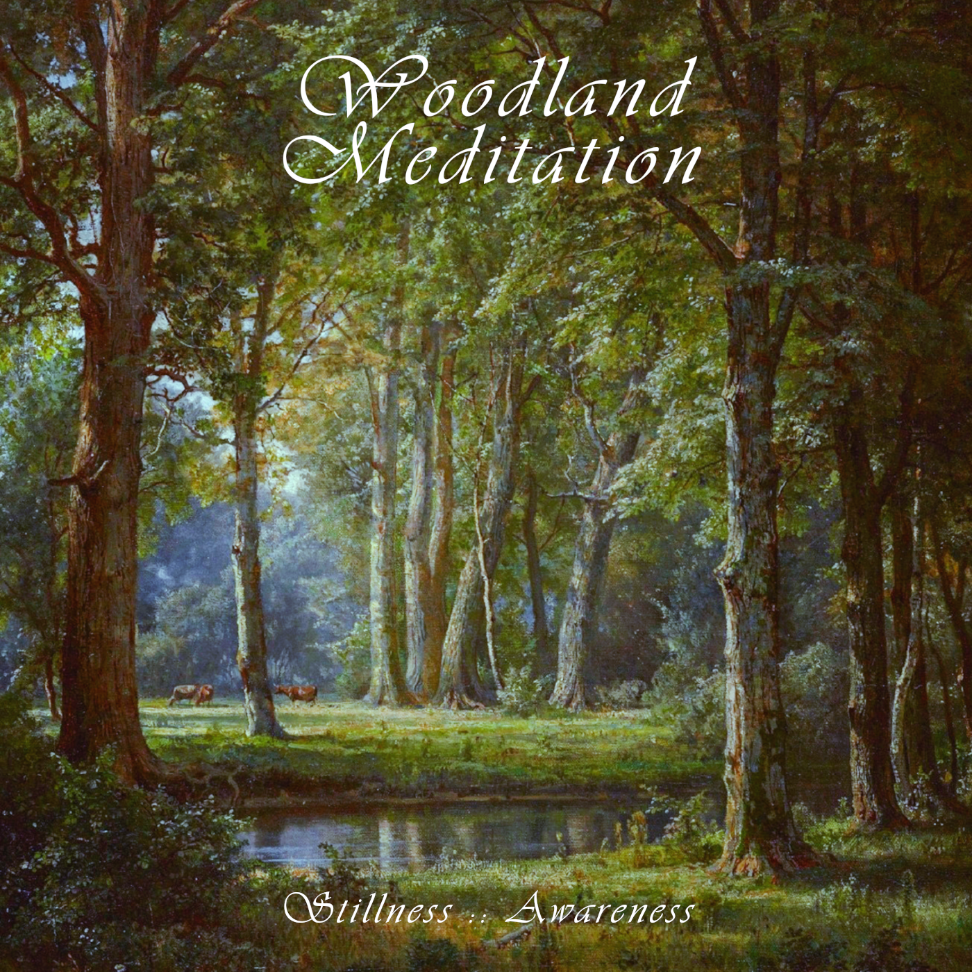 2026 - Stillness - Awareness (Anthology)/cover.png