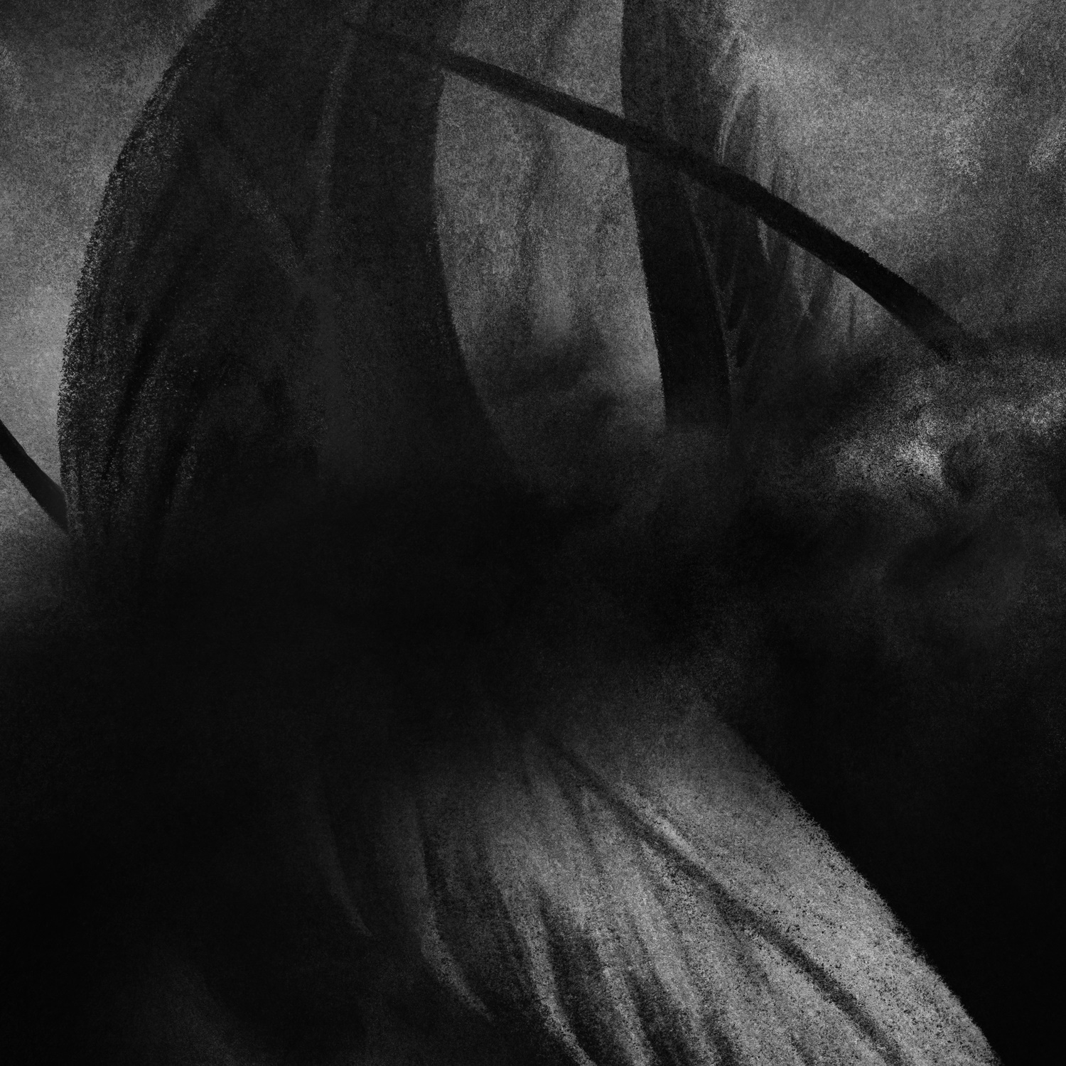 Darkspace - 2012 - Dark Space -I (24bit-48kHz)/folder.jpg
